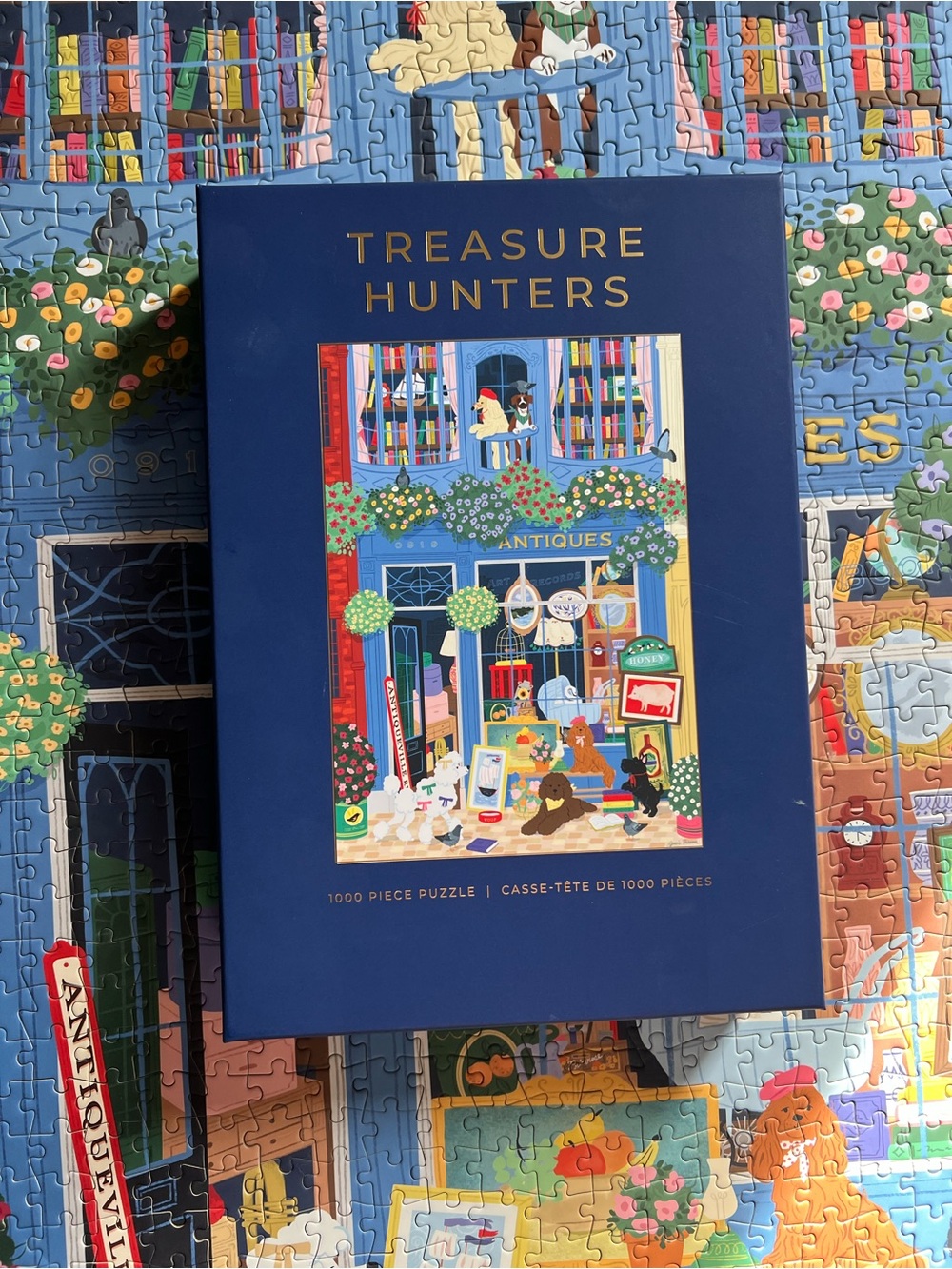 Treasure Hunters Hobbry 1000 Piece Puzzle